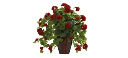 Geranium with Decorative Planter in Green/Red by Bellanest