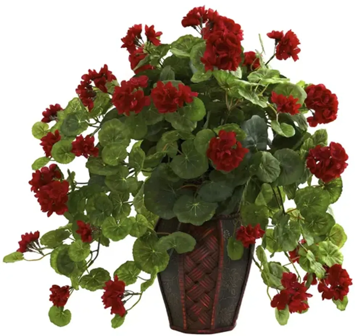 Geranium with Decorative Planter