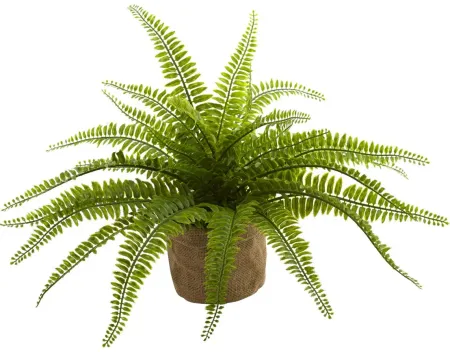 Boston Fern with Burlap Planter (Set of 2) in Green by Bellanest