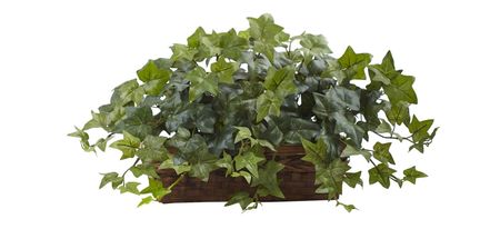 Puff Ivy with Ledge Basket in Green by Bellanest