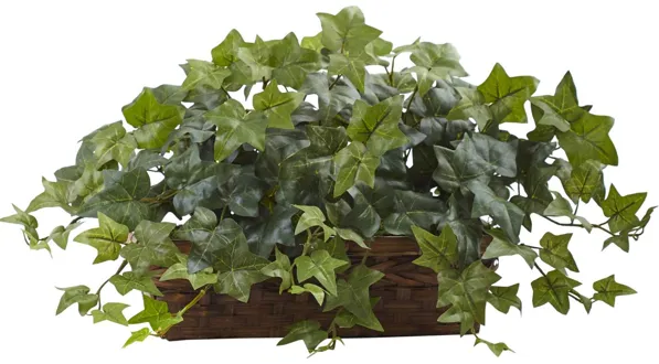 Puff Ivy with Ledge Basket in Green by Bellanest