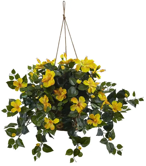 Hibiscus Hanging Basket in Yellow by Bellanest