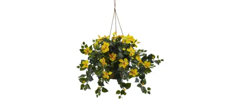 Hibiscus Hanging Basket in Yellow by Bellanest