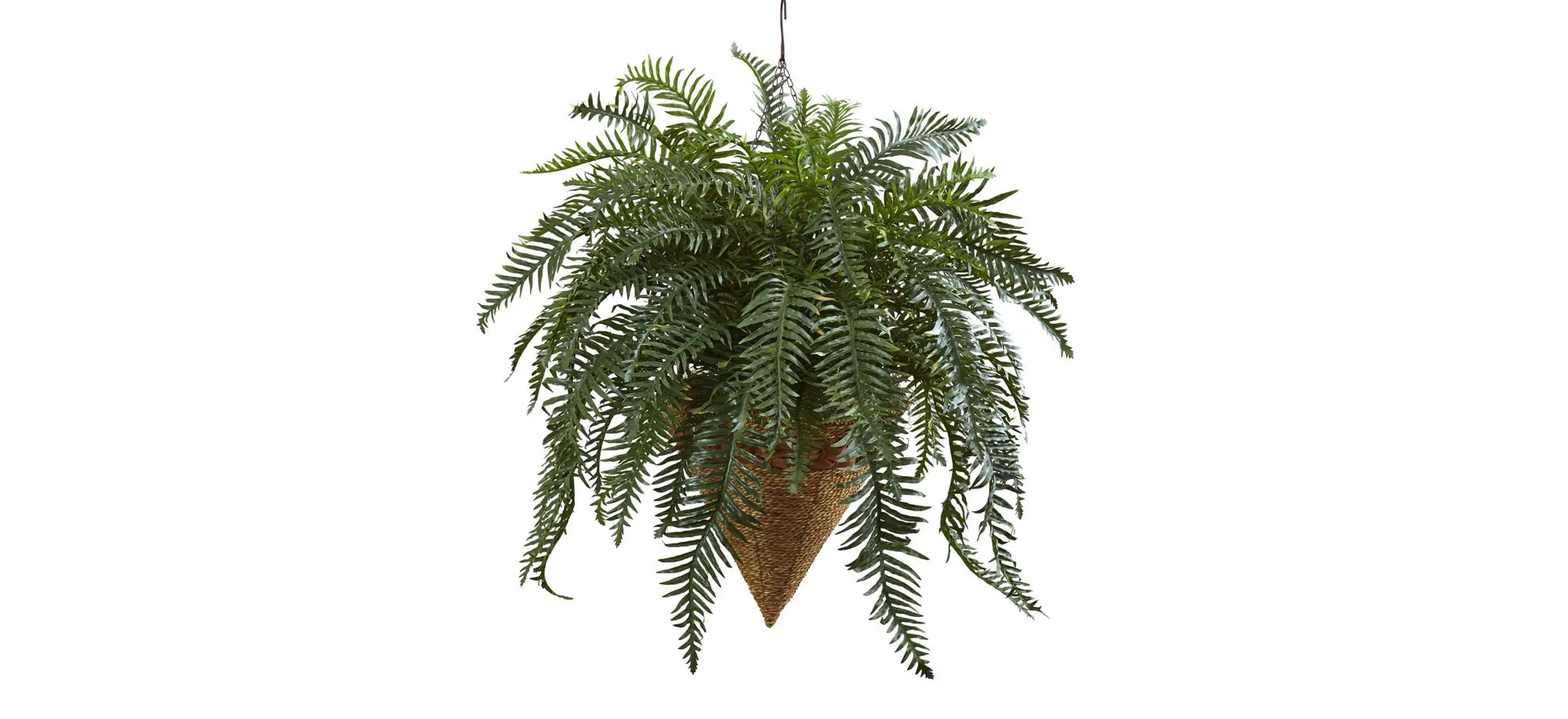 33in. Giant River Fern with Cone Hanging Basket in Green by Bellanest