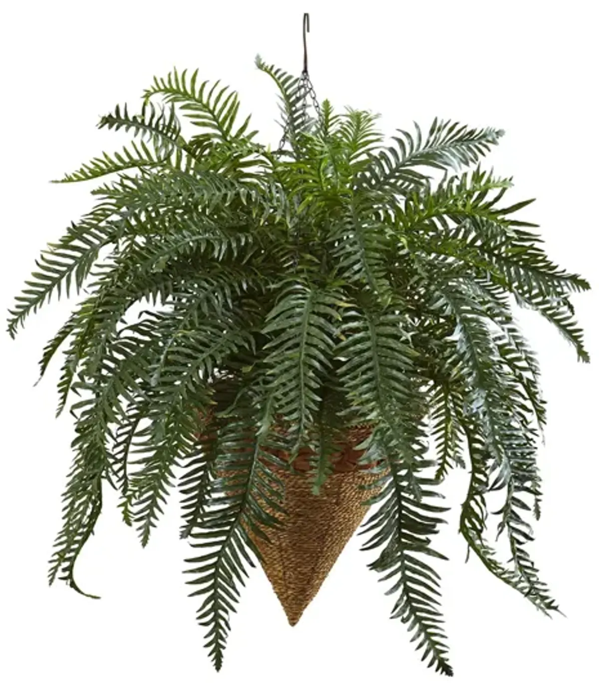 33in. Giant River Fern with Cone Hanging Basket in Green by Bellanest