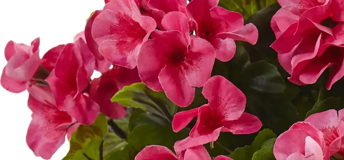 Geranium with Metal Planter (Indoor/Outdoor)