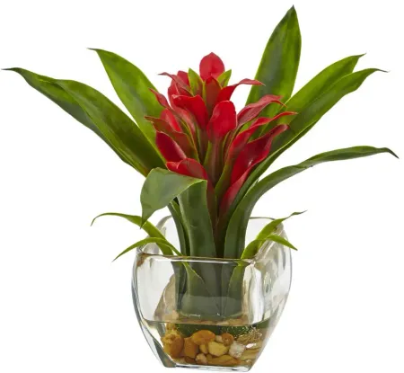 Bromeliad Pair with Glass Vase Arrangement (Set of 2) in Red/Yellow by Bellanest