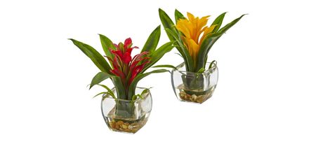 Bromeliad Pair with Glass Vase Arrangement (Set of 2) in Red/Yellow by Bellanest
