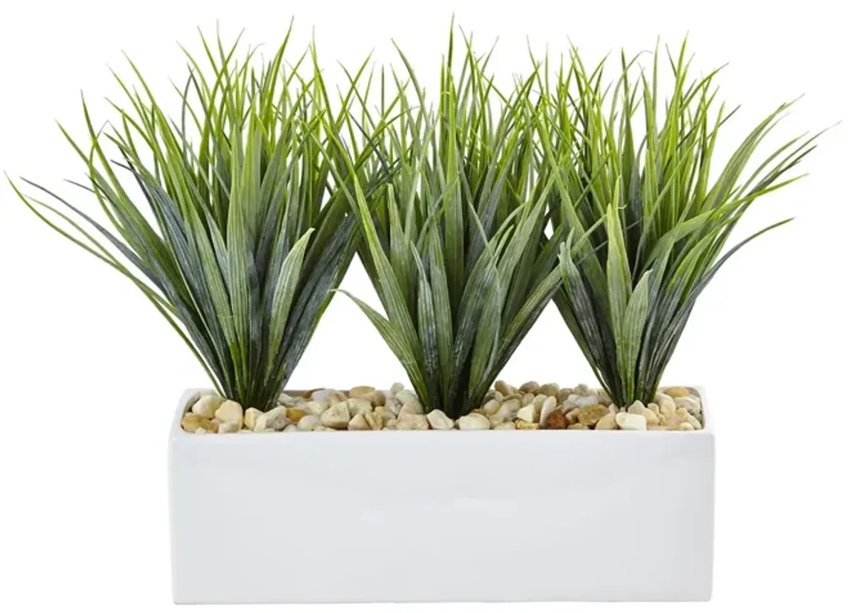 Vanilla Grass in Rectangular Planter in Green by Bellanest