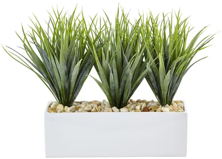 Vanilla Grass in Rectangular Planter in Green by Bellanest