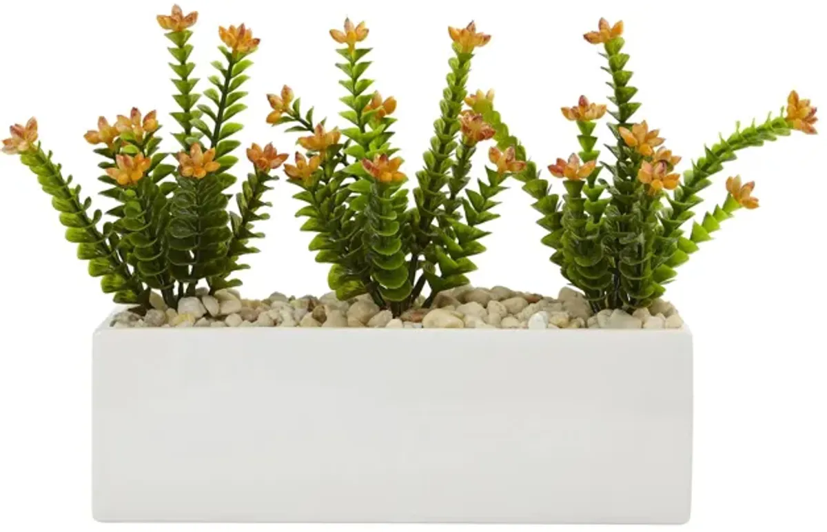 Flowering Sedum in Rectangular Planter in Green by Bellanest