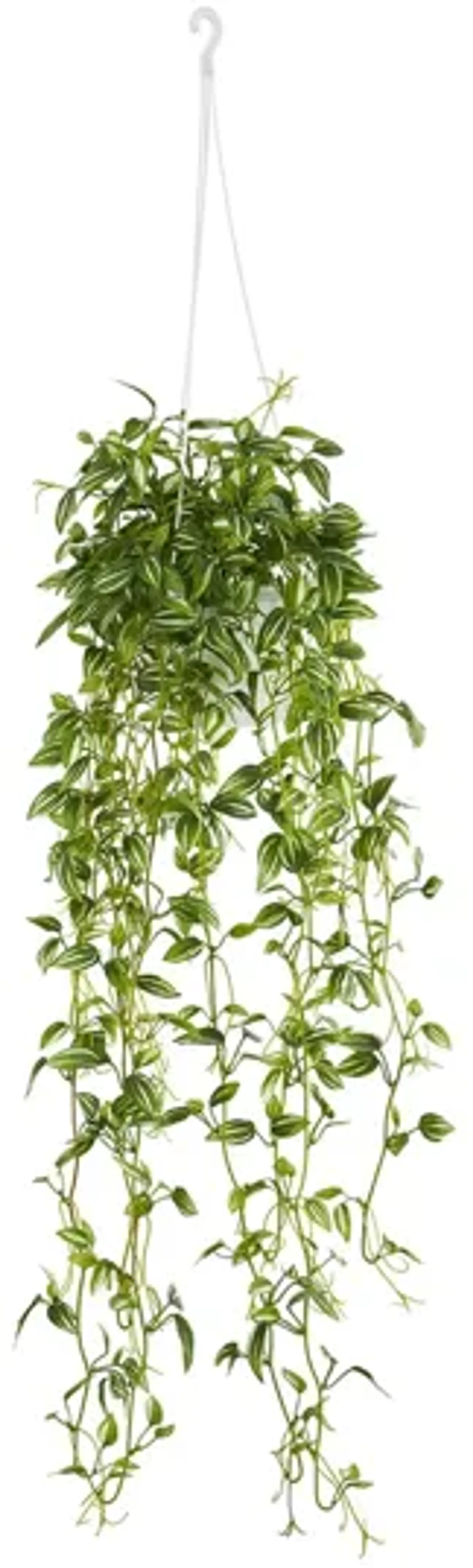 Green Variegated Wandering Jew Hanging Basket Artificial Plant