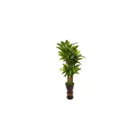 5ft. Cornstalk Dracaena Plant in Wooden Planter in Green by Bellanest