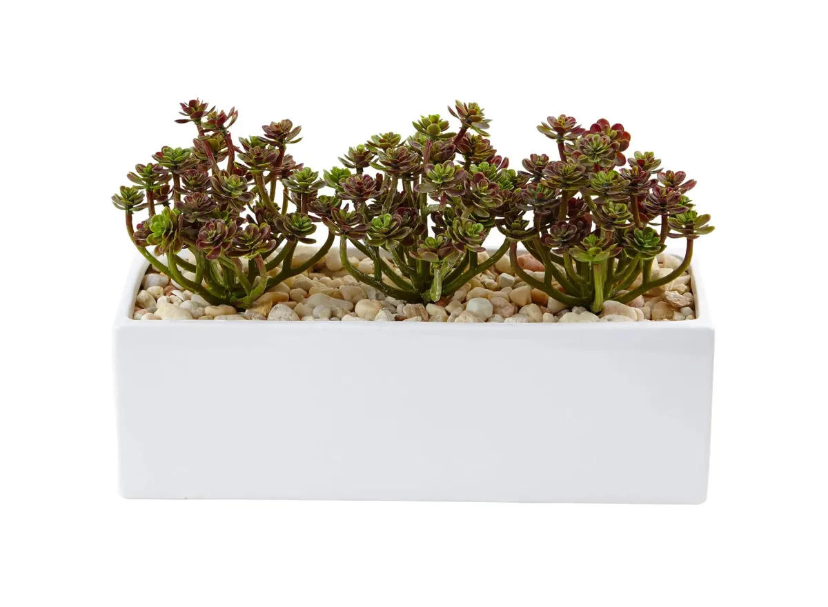 7.75in. Sedum Artificial Arrangement in Rectangular Planter in Green by Bellanest