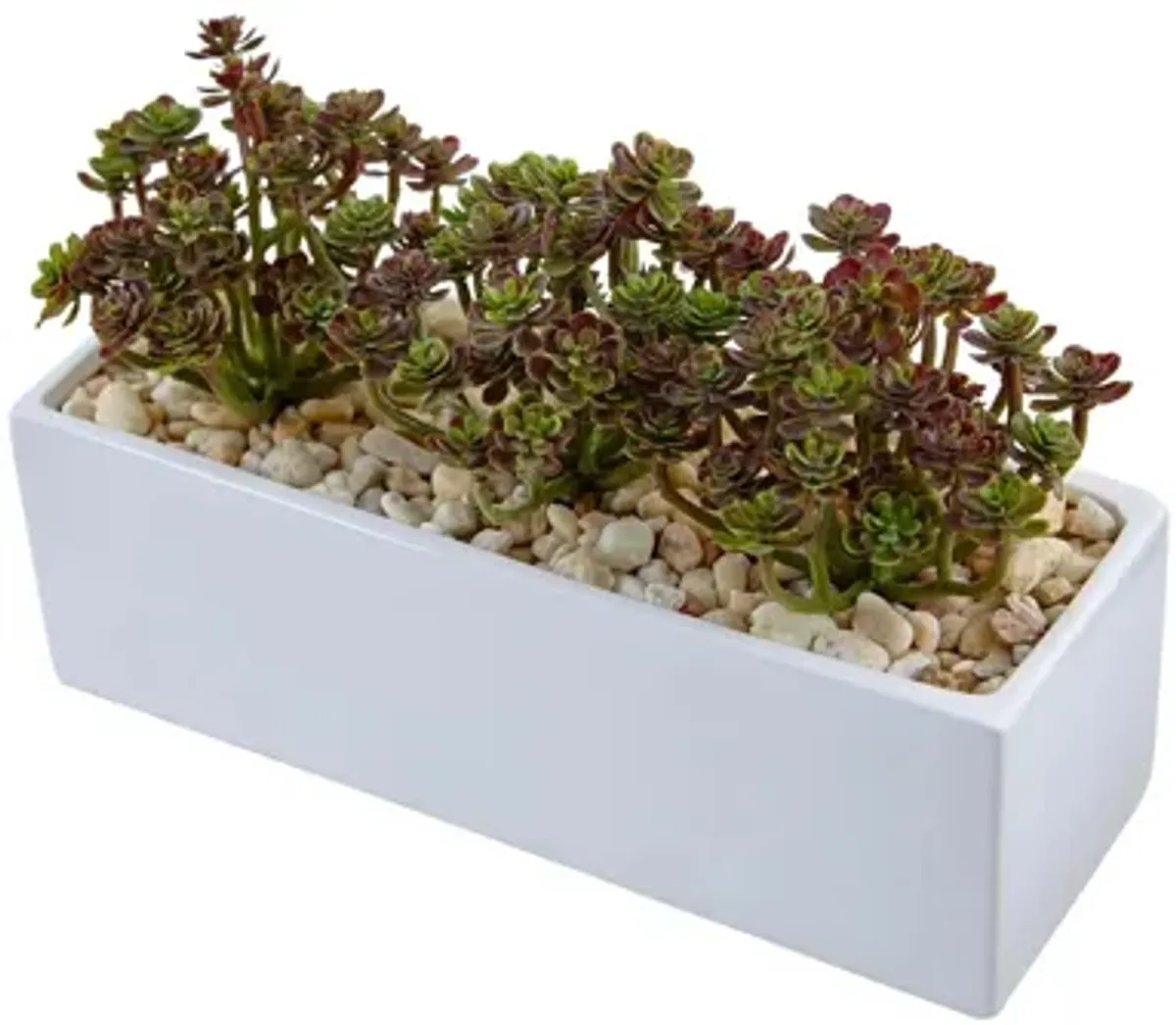 7.75in. Sedum Artificial Arrangement in Rectangular Planter