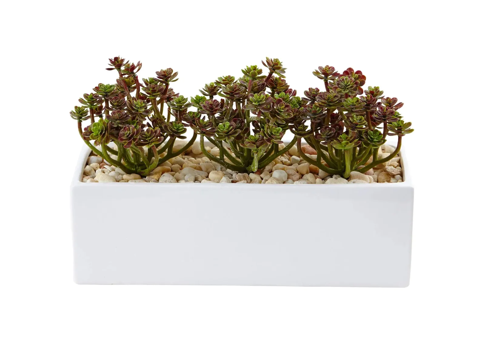 7.75in. Sedum Artificial Arrangement in Rectangular Planter in Green by Bellanest