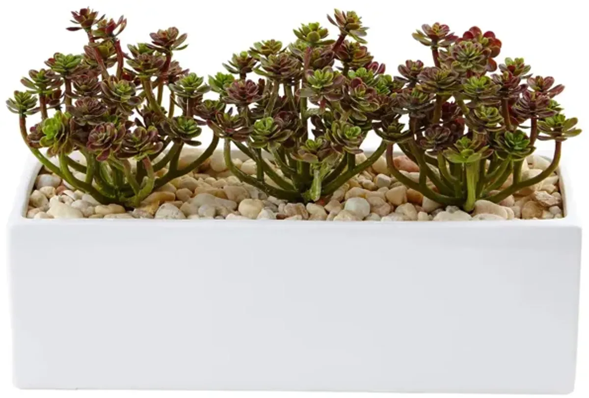 7.75in. Sedum Artificial Arrangement in Rectangular Planter