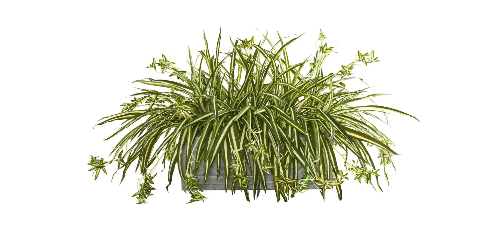 Artificial Spider Plant in Stone Planter in Green by Bellanest