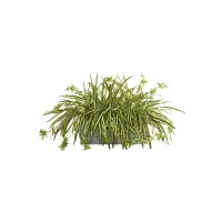 Artificial Spider Plant in Stone Planter in Green by Bellanest