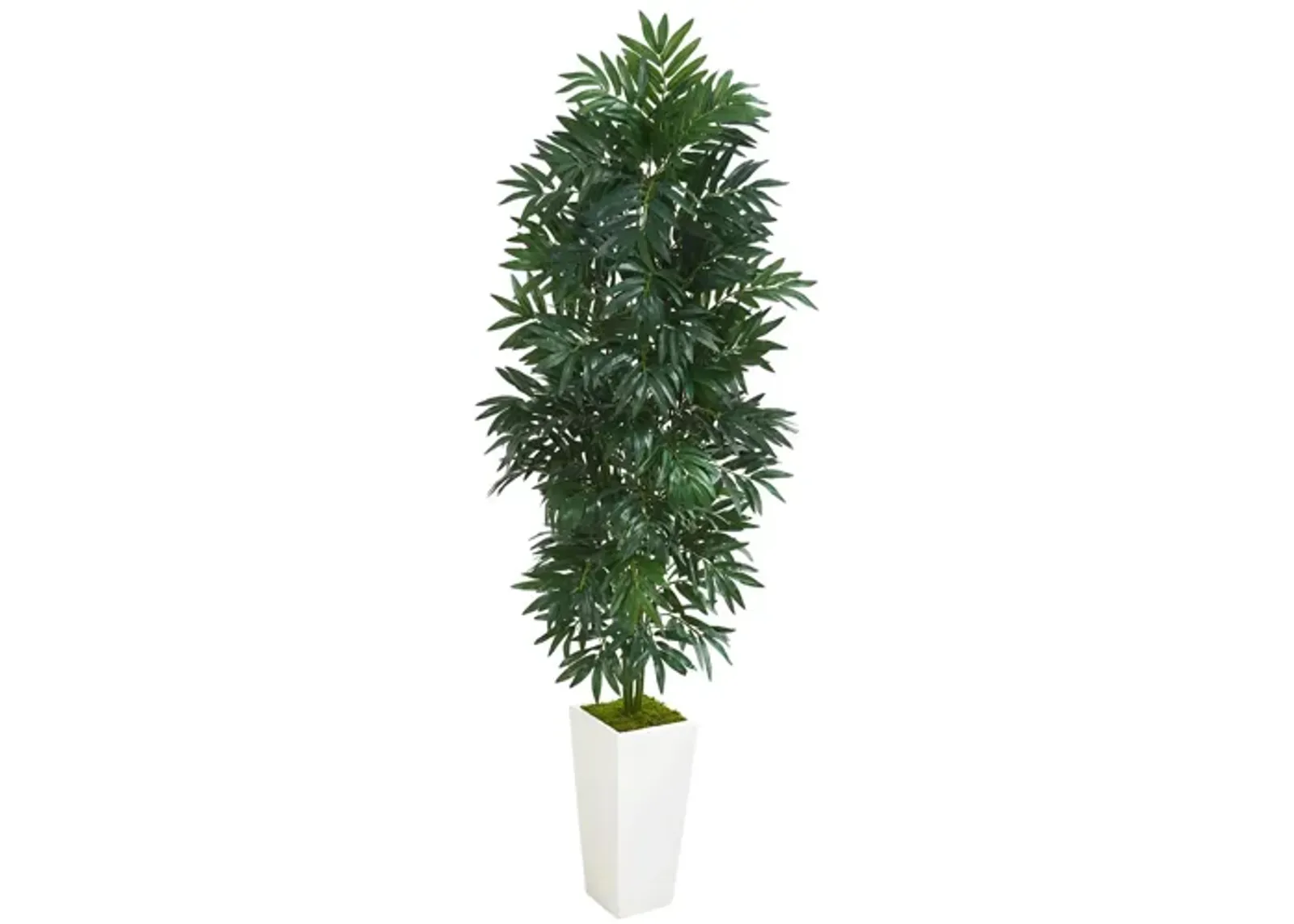 5ft. Bamboo Palm Artificial Plant in White Planter in Green by Bellanest