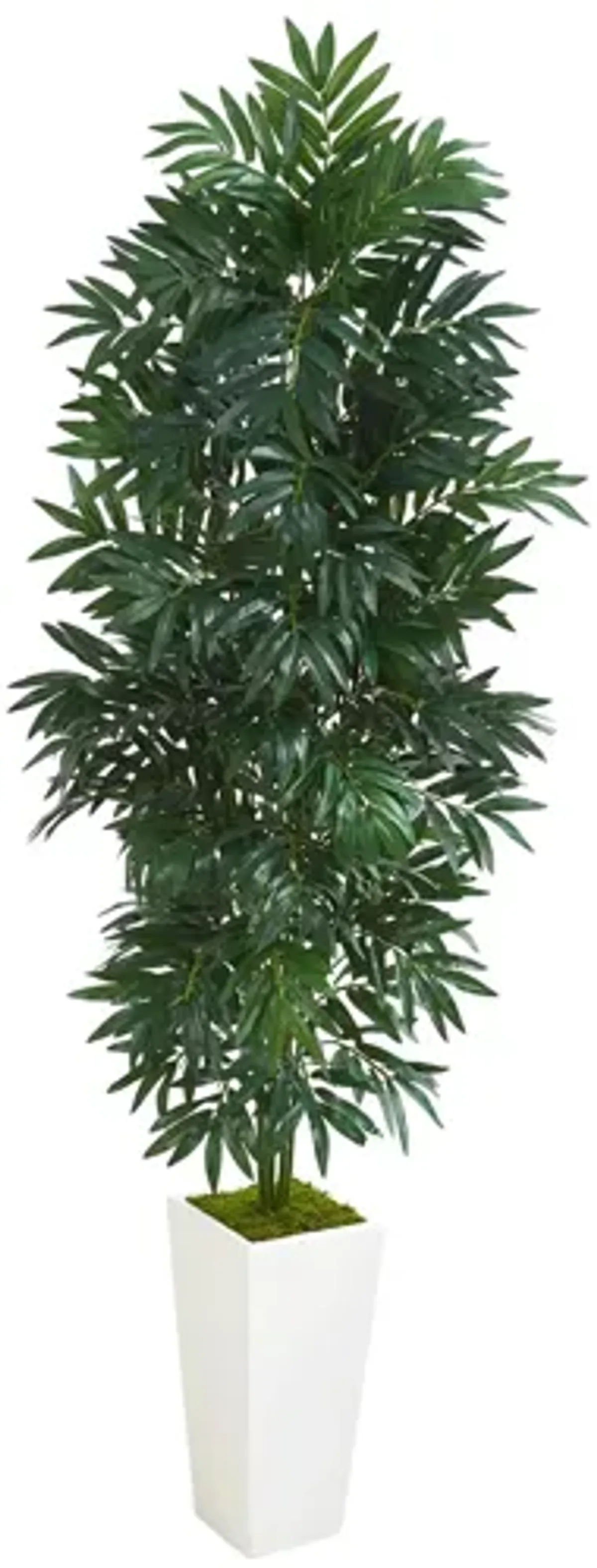 5ft. Bamboo Palm Artificial Plant in White Planter in Green by Bellanest