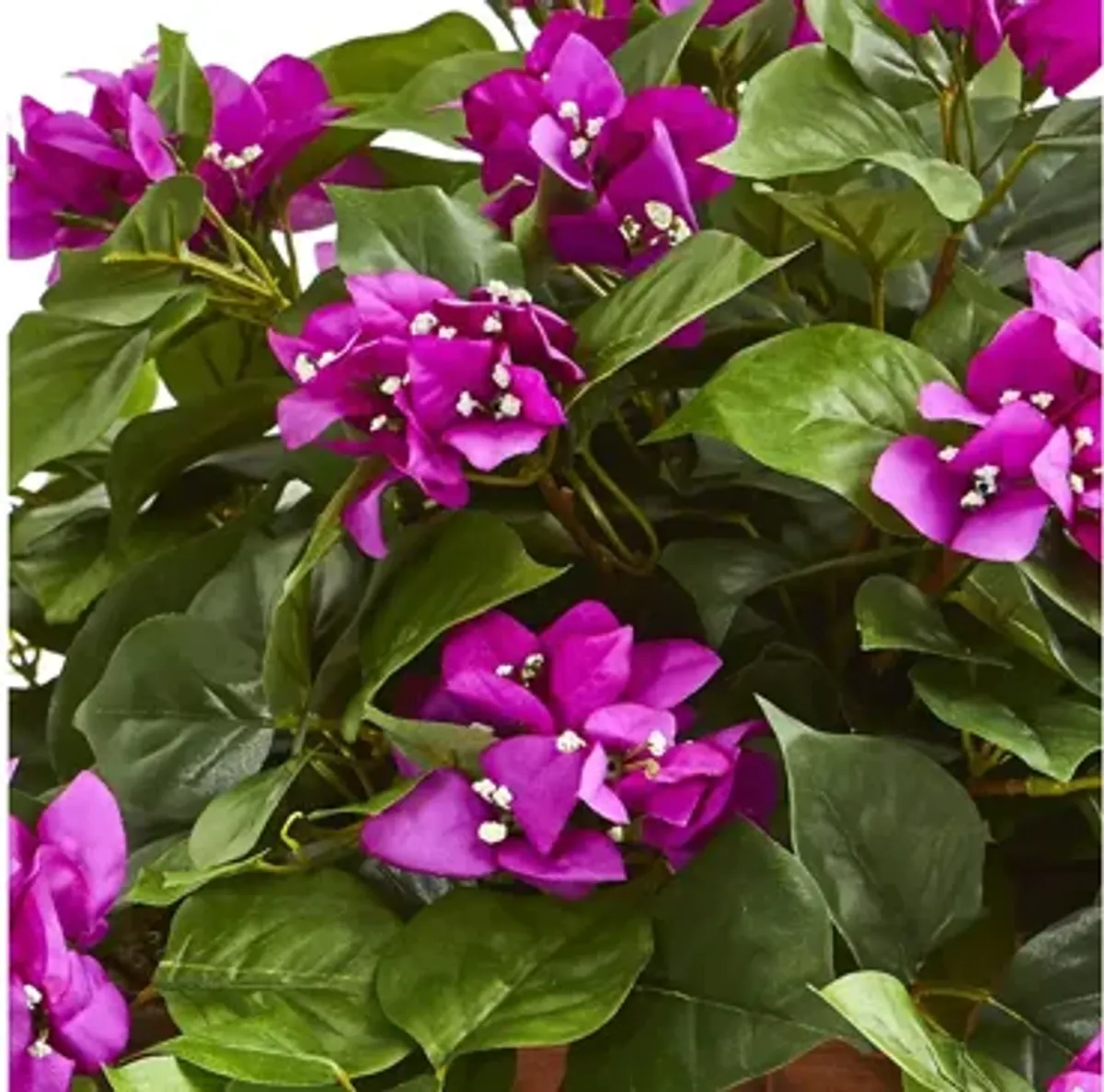 Bougainvillea Artificial Plant in Basket