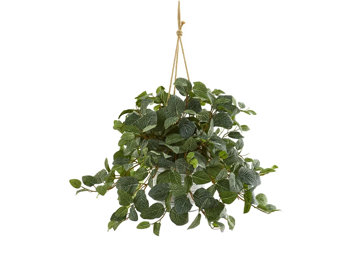 28in. Fittonia Artificial Plant in Hanging Metal Bucket in Green by Bellanest