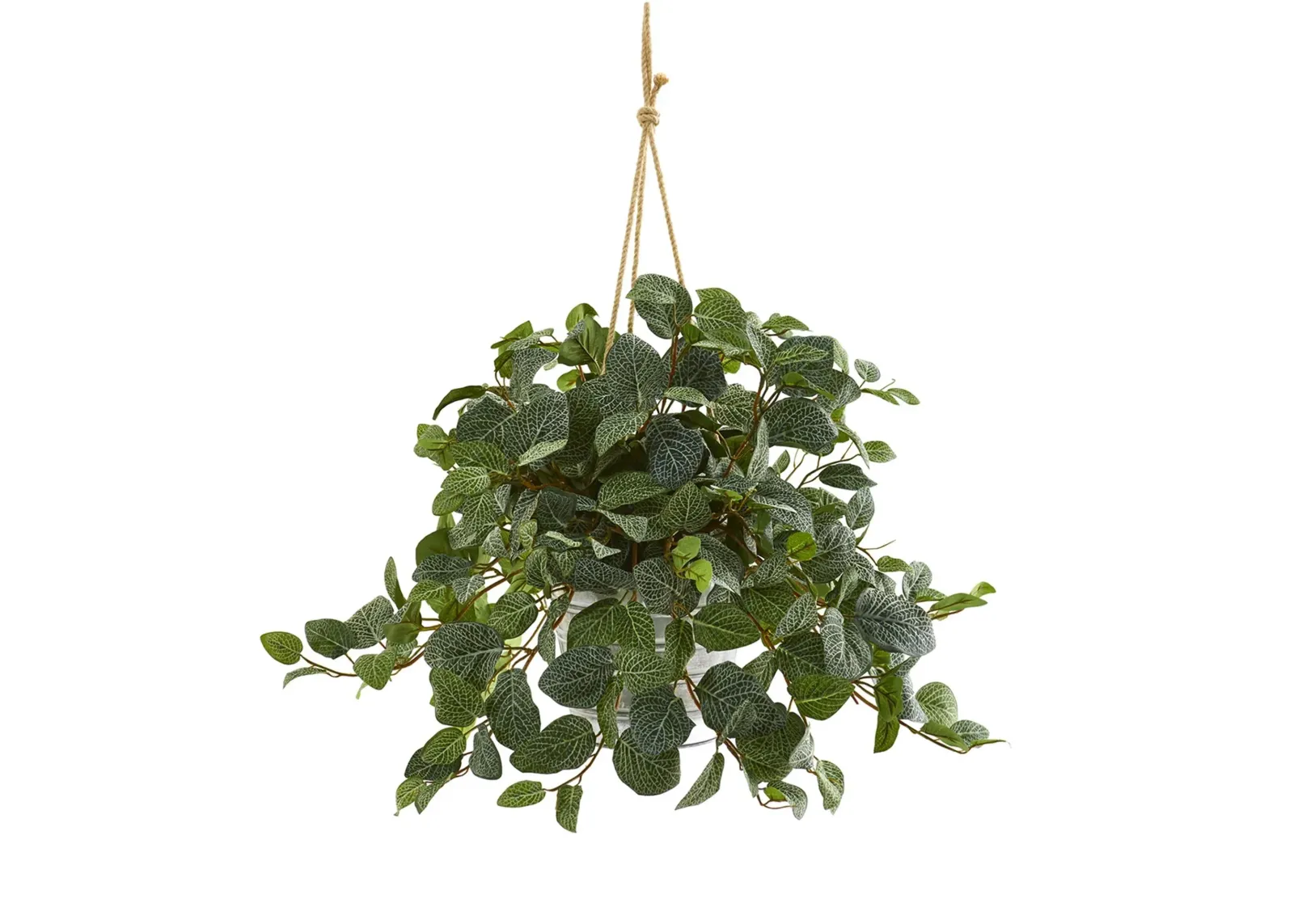 28in. Fittonia Artificial Plant in Hanging Metal Bucket in Green by Bellanest