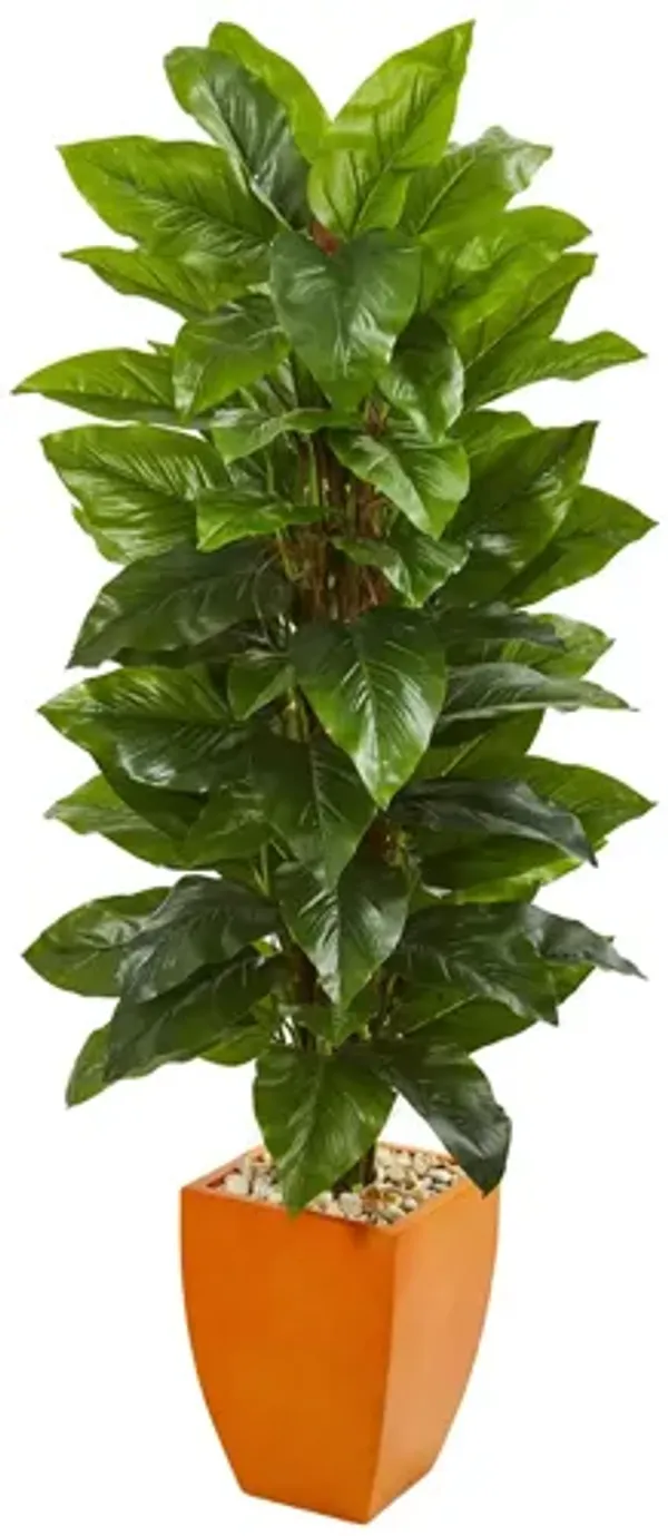 5.5ft. Large Leaf Philodendron Artificial Plant in Orange Planter