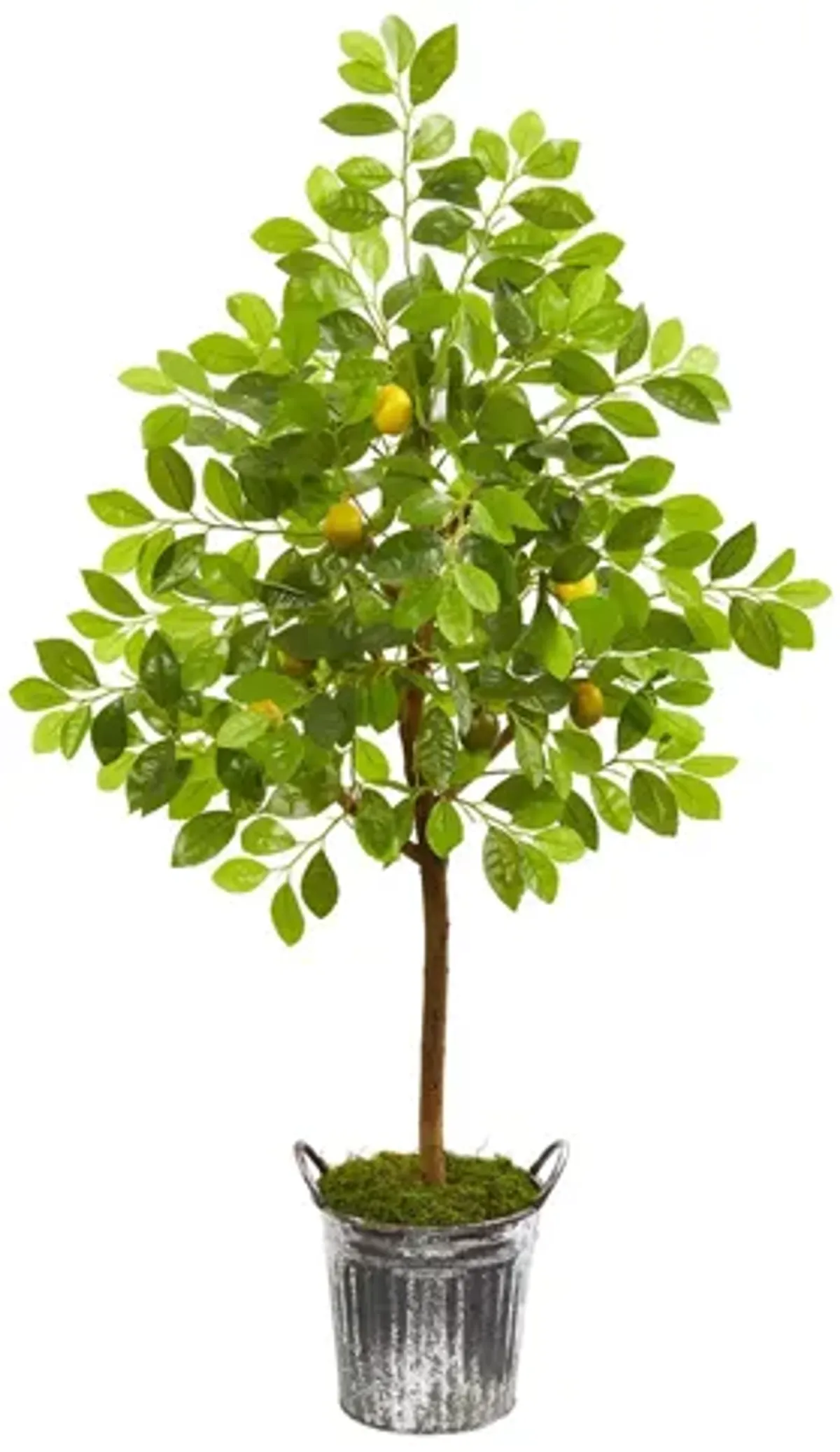 54in. Lemon Artificial Tree in Vintage Metal Bucket in Green by Bellanest