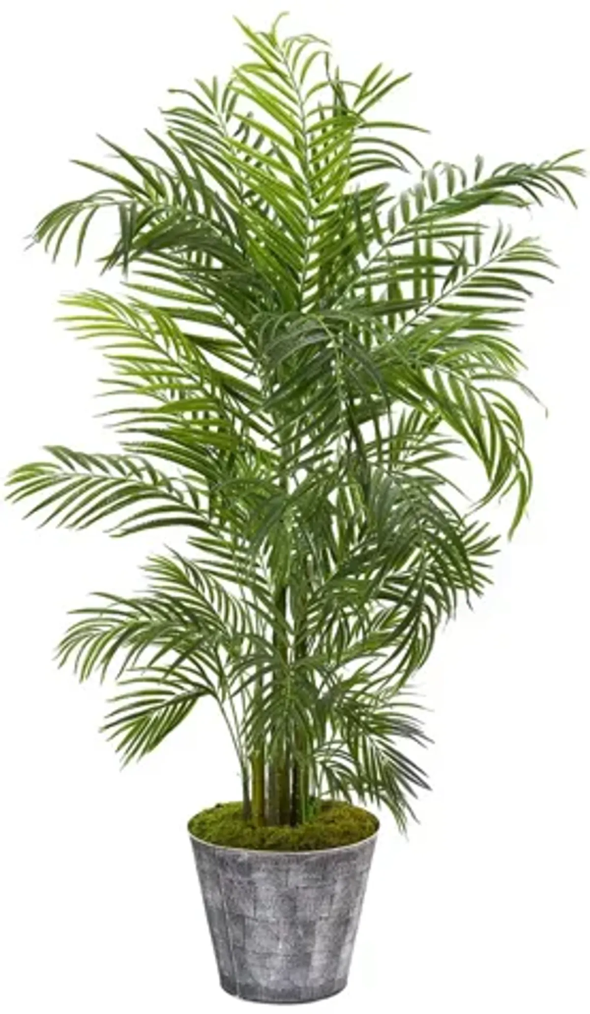 63in. Areca Palm Artificial Tree in Decorative Planter (Indoor/Outdoor) in Green by Bellanest