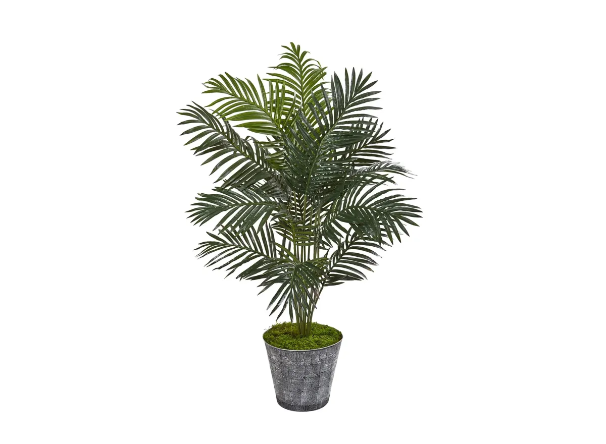 58in. Paradise Palm Artificial Tree in Decorative Planter in Green by Bellanest