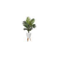 61in. Paradise Palm Artificial Tree in White Planter with Stand in Green by Bellanest