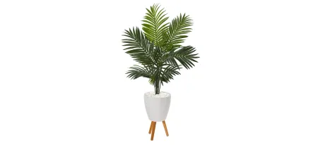 61in. Paradise Palm Artificial Tree in White Planter with Stand in Green by Bellanest