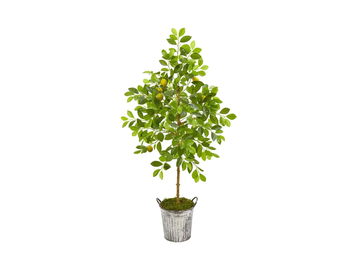 55in. Lemon Artificial Tree in Vintage Metal Pail in Green by Bellanest