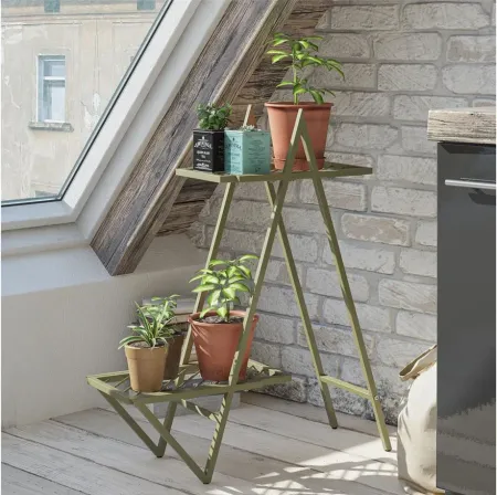 Wallflower Plant Stand in Olive Green by DOREL HOME FURNISHINGS