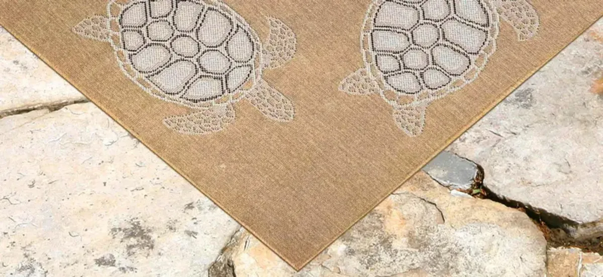 Carmel Indoor/Outdoor Rug