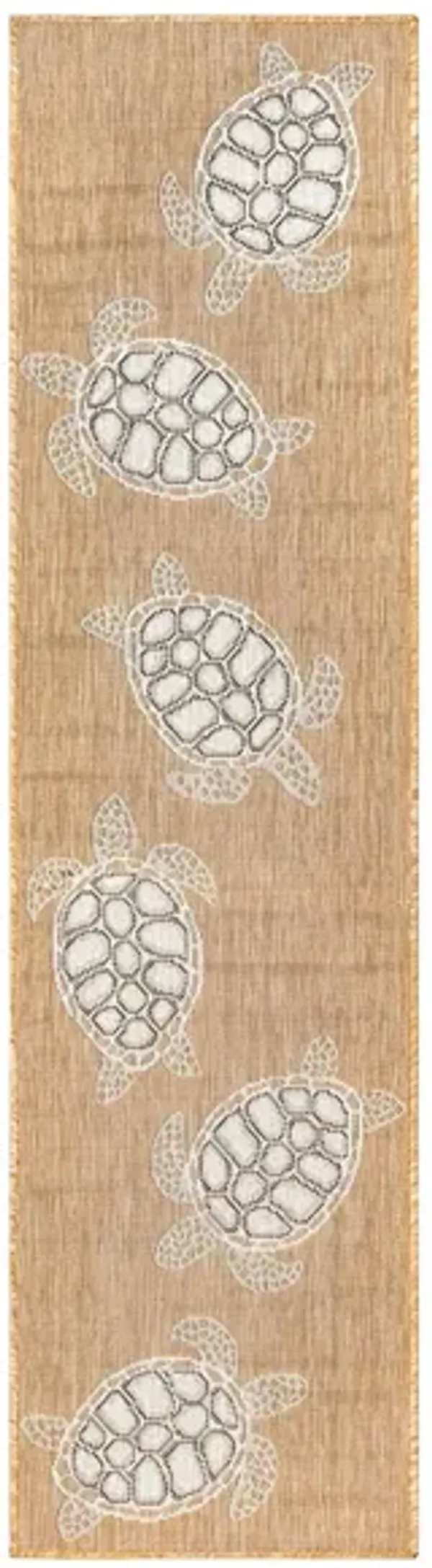 Carmel Indoor/Outdoor Rug