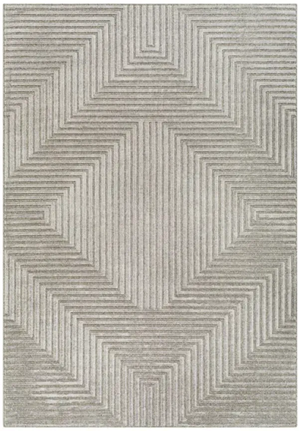 Orion Area Rug