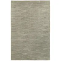 Lucus Area Rug in Beige / Ivory by Bellanest