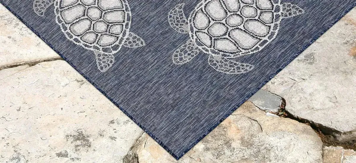 Carmel Indoor/Outdoor Rug