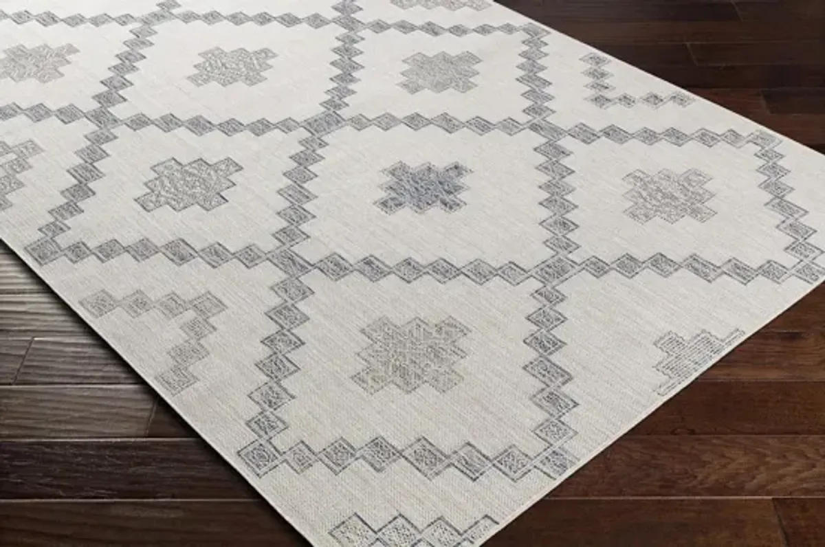 Tuareg Area Rug