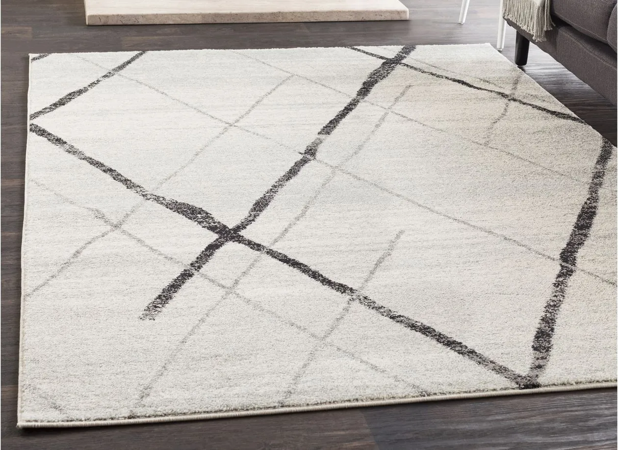 Elaziz Area Rug in Gray, Black, White by Surya