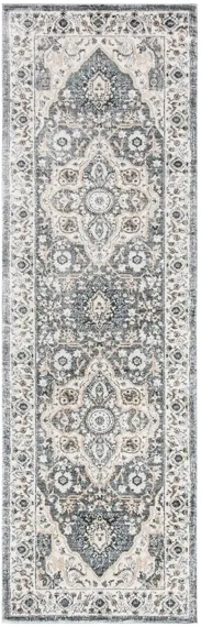 Isabella Runner Rug in Gray/Cream by Safavieh