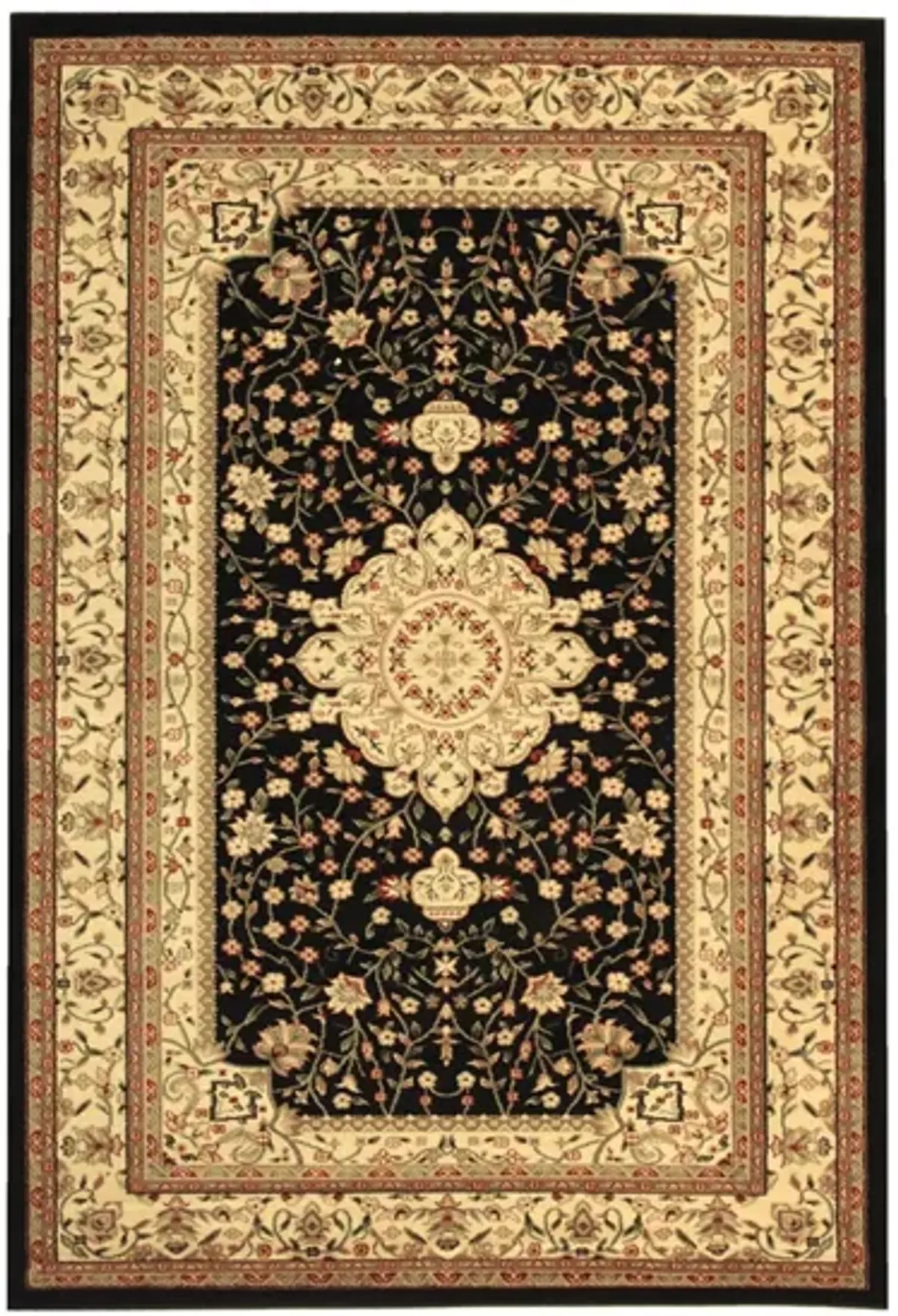 Hampshire Area Rug in Black / Ivory by Safavieh