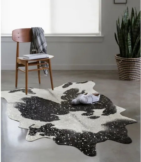 Bryce 3 x 5 Accent Rug in Black/Silver by Loloi Rugs