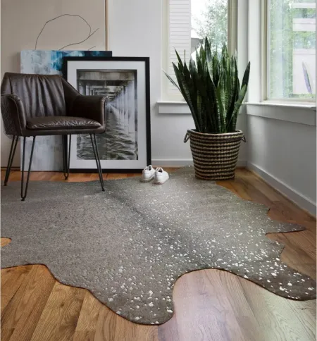 Bryce 5 x 8 Area Rug in Graphite/Silver by Loloi Rugs