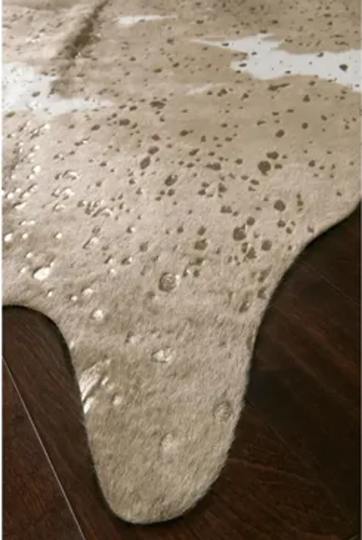 Bryce 7 x 9 Area Rug