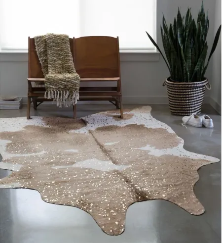 Bryce 5 x 8 Area Rug in Taupe/Champagne by Loloi Rugs