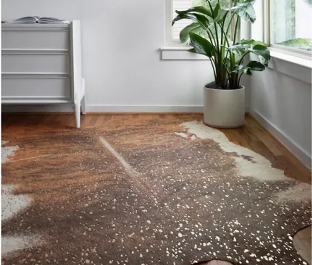 Bryce 5 x 8 Area Rug